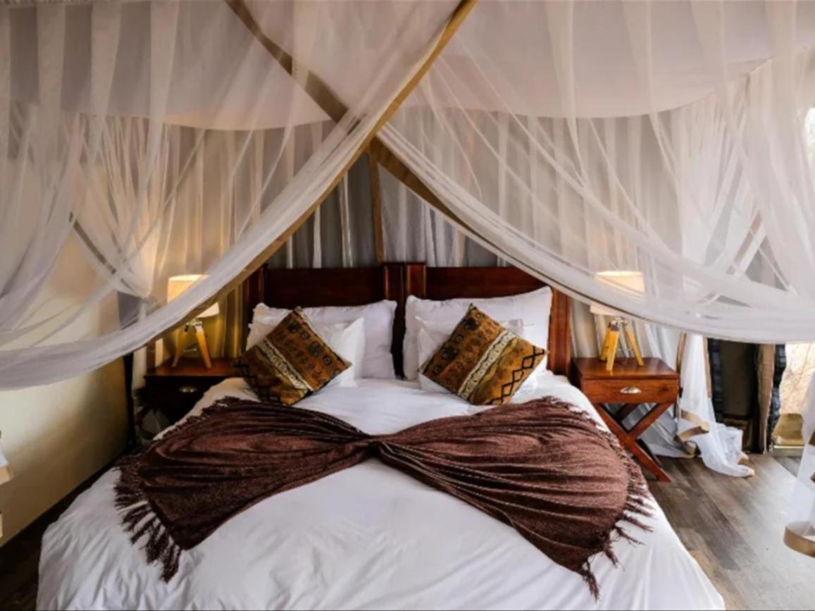 Honeyguide Tented Safari Camps - Mantobeni Manyeleti Doğa Koruma Alanı Oda fotoğraf