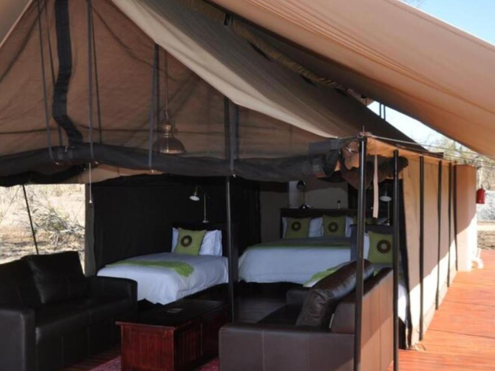 Honeyguide Tented Safari Camps - Mantobeni Manyeleti Doğa Koruma Alanı Oda fotoğraf