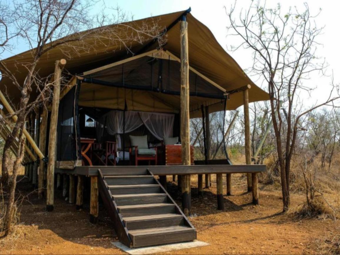 Honeyguide Tented Safari Camps - Mantobeni Manyeleti Doğa Koruma Alanı Dış mekan fotoğraf